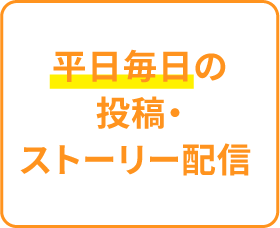 平日毎日の投稿・ストーリー配信