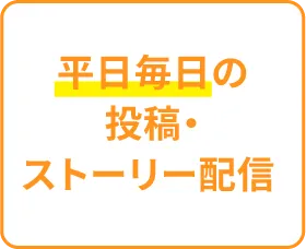 平日毎日の投稿・ストーリー配信
